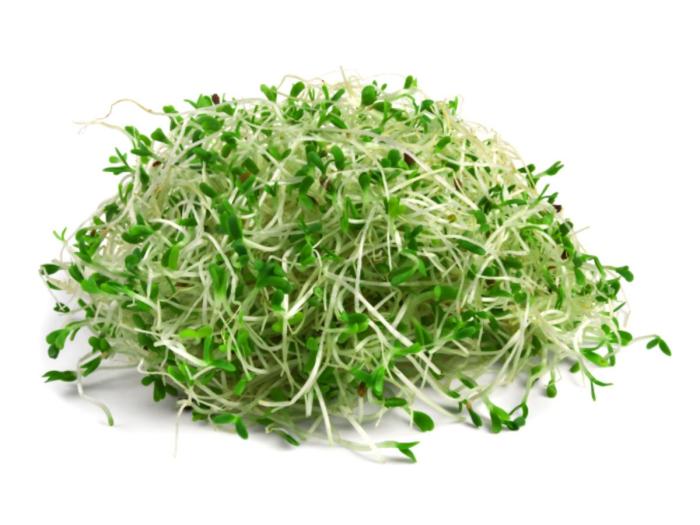 Alfalfa sprouts nutrition facts