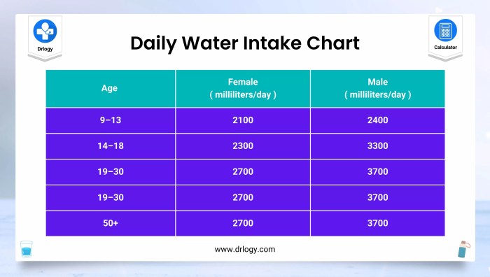 How much water a plant need per day