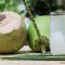 How Much Coconut Water Per Gallon for Plants?