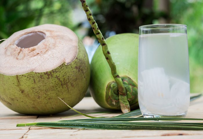 How much coconut water per gallon for plants