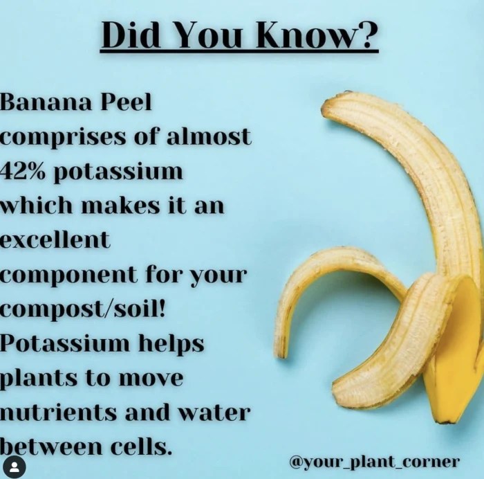 How much banana peel water for plants