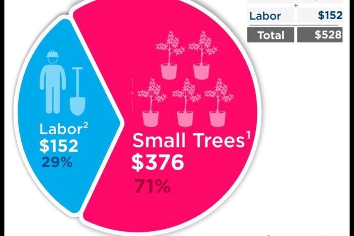 How much to charge to water plants