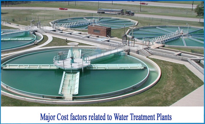 How much does a water plant cost