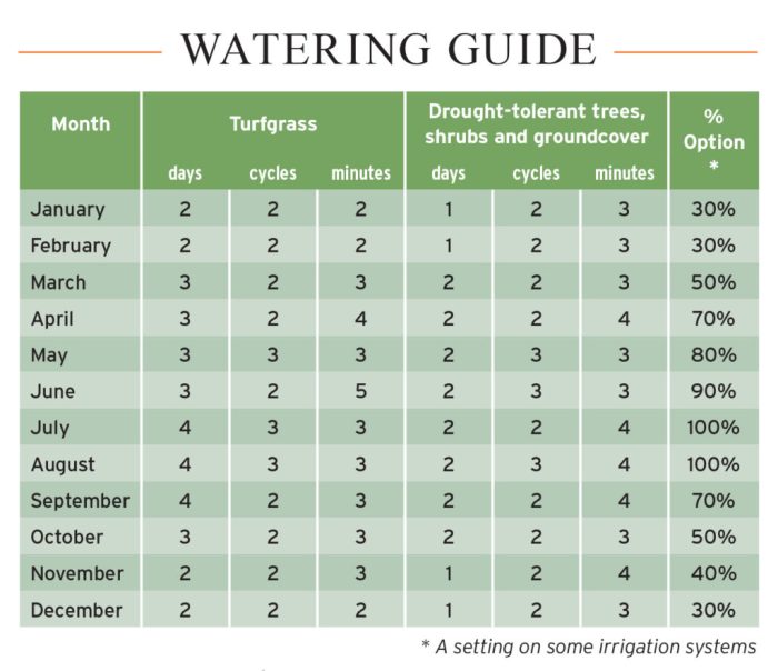 How much to charge to water plants