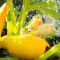 How Much to Water Squash Plants