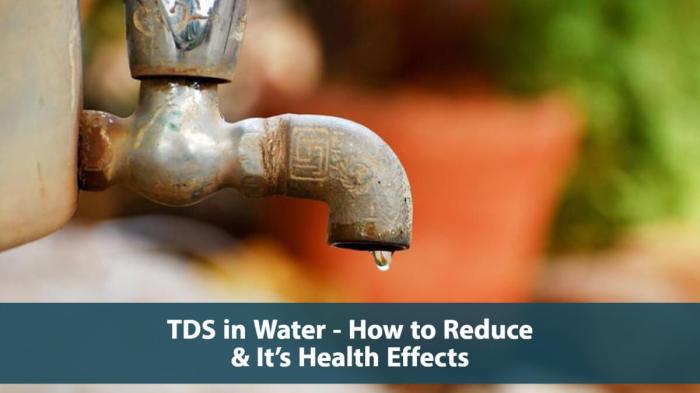 How much tds water is good for plants