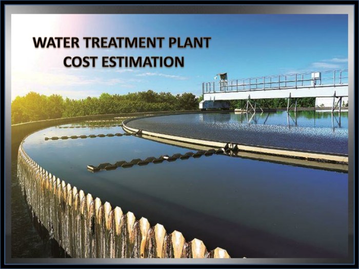 How much does a water plant cost